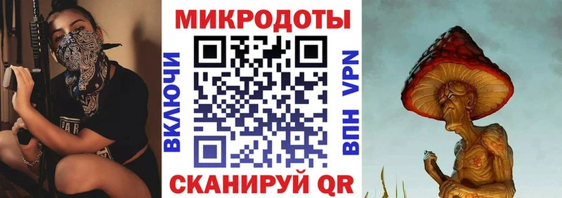 где купить   Рудня  Галлюциногенные грибы Psilocybine cubensis 